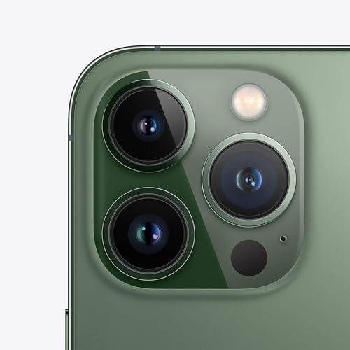 Apple (Refurbished) iPhone 13 Pro Max (256GB) - Gold - Green 256 GB 256 GB