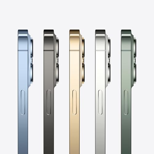 Apple (Refurbished) iPhone 13 Pro Max (256GB) - Gold - Green 256 GB 256 GB