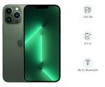 Apple (Refurbished) iPhone 13 Pro Max (256GB) - Gold - Green 256 GB 256 GB