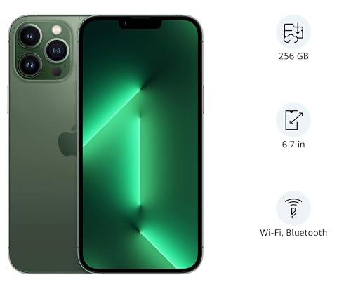 Apple (Refurbished) iPhone 13 Pro Max (256GB) - Gold - Green 256 GB 256 GB