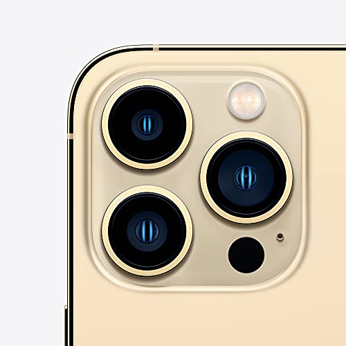 Apple (Refurbished) iPhone 13 Pro Max (256GB) - Gold - Gold 256 GB 256 GB